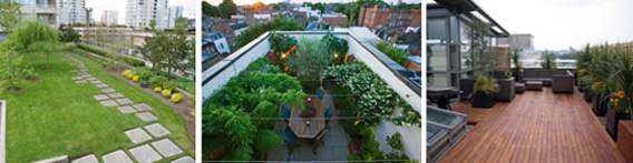 Roof Top Cardern